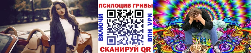 кракен вход  Владикавказ  Галлюциногенные грибы Psilocybe 