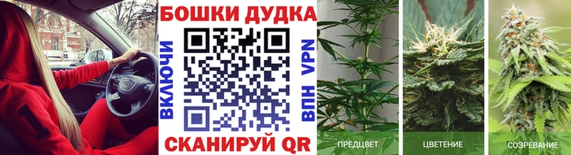 ОМГ ОМГ зеркало  Владикавказ  Бошки марихуана ГИДРОПОН 